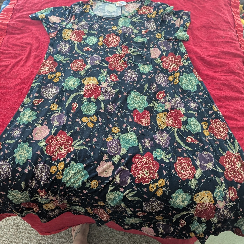 Lularoe Jessie dress with pockets